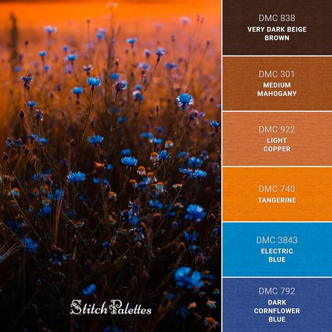 Yarn Color Combinations, Color Schemes Colour Palettes, Color Palate, Design Seeds, Thread Colors, Color Palette Design, Color Inspo, Colour Board, Color Stories