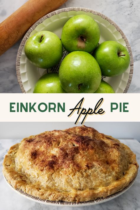 Craving a slice of classic apple pie? This homemade Einkorn Apple Pie recipe is full of juicy apples with a perfectly golden flaky crust that is both flavorful and a healthier alternative. Let’s get baking! Einkorn Pie Crust, Granny Smith Apple Pie Recipe, Einkorn Cookies, Granny Smith Apple Pie, Fall Feast, Einkorn Recipes, Apple Recipes Healthy, Einkorn Flour, Apple Bars