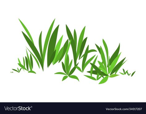 Grass Illustration, Grass Vector, Green Grass, Transparent Png, Png Images, Vector Images, Vector Free, Illustrator, Plants