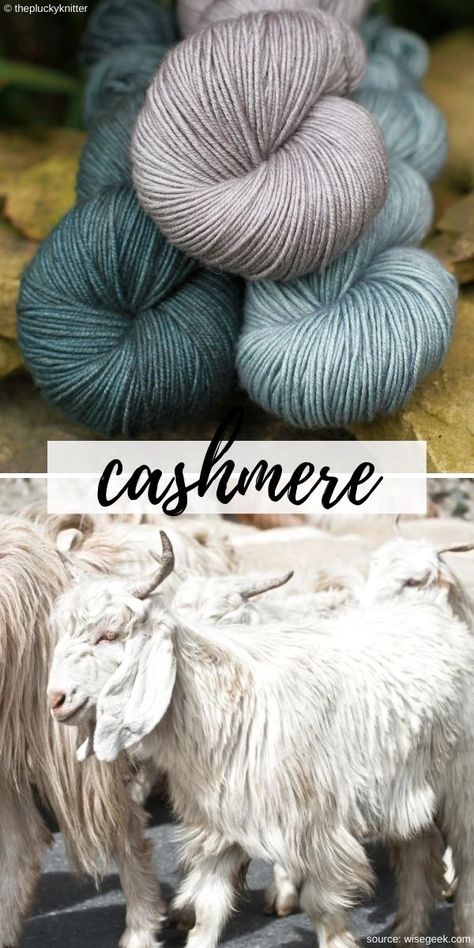 This soft wool is sourced from Cashmere Goats, and its name comes from Kashmir state in South Asia. Unlike other kinds of yarn, the process of collecting wool from these animals is much more time and labor-consuming. Instead of shearing, cashmere wool is collected by combing only once a year, so that one goat produces much less wool than a regular sheep. All this makes the wool highly valued and expensive.  #crochet #howtocrochet #yarntypes #cashmere Fibre Sources, Yarn Aesthetic, Knitting Journal, Fiber Animals, Cashmere Goat, Clothing Store Design, Spinning Wool, Spinning Yarn, Goat Farming