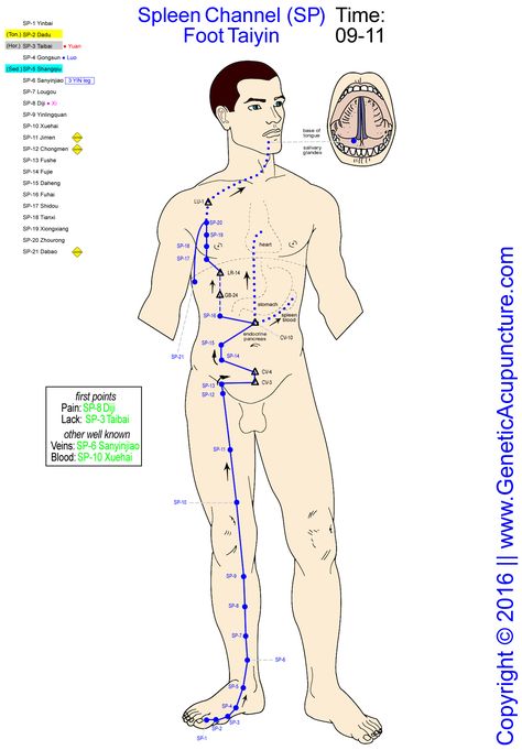 Weird Birthday, Gall Bladder Removal, After Gallbladder Surgery, Meridian Acupuncture, Traditional Chinese Medicine Acupuncture, Acupuncture Points Chart, Gallbladder Cleanse, Gallbladder Surgery, Gall Bladder