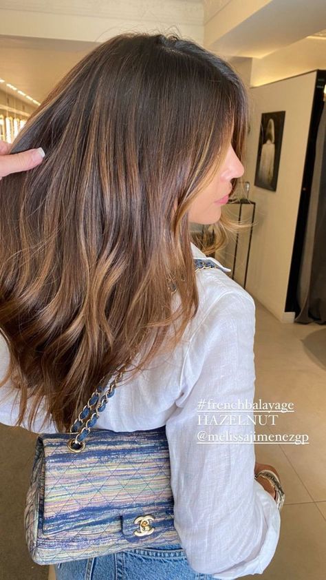 Hazelnut Melt French Balayage, Brown Hair With Hazelnut Highlights, Warm Brown Balayage Straight Hair, Mocha Melt Hair, Hazelnut Balayage Brunettes, Milktea Hair Balayage, Hazelnut Hair Color Brown Highlights, Melting Hazelnut Hair, French Balayage Brunettes