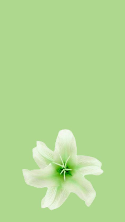 #wallpaper #nature #vibes #flowers #green #aesthetic Green Spiritual Aesthetic, Green Spiritual, Spiritual Aesthetic, Spirituality Affirmations, Nature Vibes, Wallpaper Nature, Flowers Green, Green Aesthetic, Spirituality