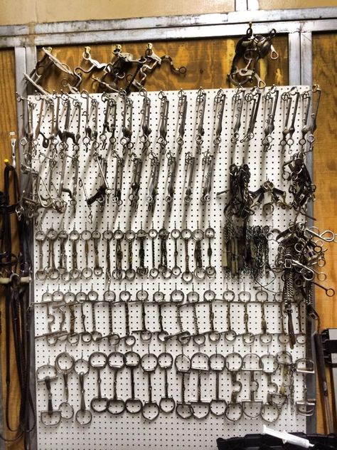 Easy Ways to Store and Organize Your Horse's Bit Collection - STABLE STYLE Tack Room Organization Diy, Tack Organization, Barn Organization Ideas, Barn Organization, Tack Room Organization, Equine Barns, Feed Room, Horse Tack Rooms, Bit Storage