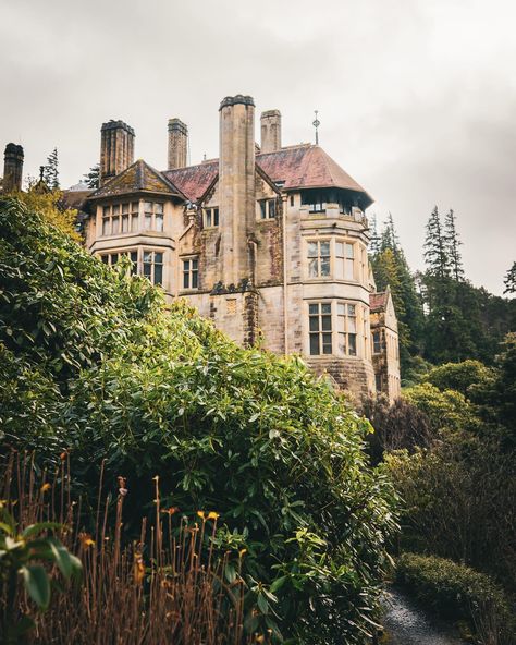 Cragside ~ February postcards giving depth and mood to @ntcragside 🌱 Loved exploring even on a damp day the beauty of @ntcragside is immense. The rich tones and scenes the weather gives I’m totally here for it 🙌🏻 Cragside House set within the national trust park was Britain’s original ‘smart home’. The pioneering Victorian mansion was powered with hydro electricity and filled with gadgets and inventions. Cragside’s house and estate was created by a remarkable couple, Lord William and Lad... Cragside House, Hydro Electricity, Margaret Armstrong, Victorian Mansion, Victorian Mansions, Hydro Electric, National Trust, The National, Mansion