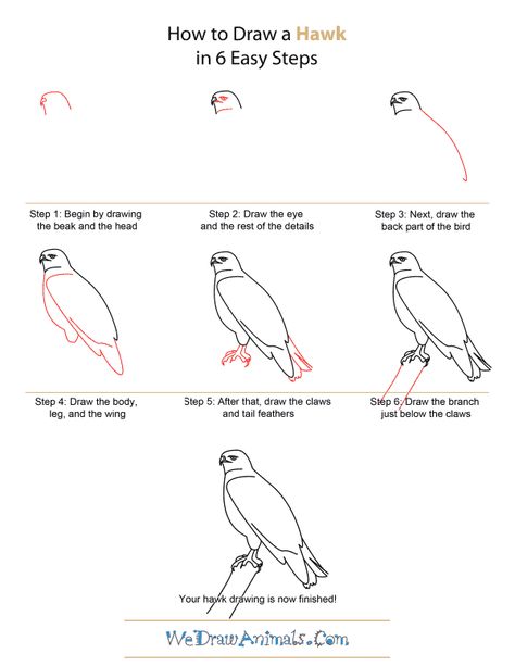 Hawk Flying, Drawing Birds, Draw Comics, Bird Drawing, Tutorials Drawing, Bird Silhouette, Drawing Tutorial Easy, Art How, Bird Drawings