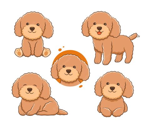 Premium Vector | The collection of cute poodle illustration in many poses Poodle Illustration, Poodle Drawing, Dog Design Art, Cute Poodle, Puppy Room, Cartoon Art Drawing, Red Poodles, Teddy Bear Dog, Puppy Drawing