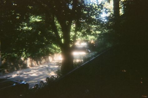 Trees Film Photography, Digital Camera Aesthetic Nature, Nyc Digital Camera, City Film Photography, Aesthetic Cinematography, Disposable Camera Photography, Film Camera Aesthetic, Friends Film, Class Of 2027