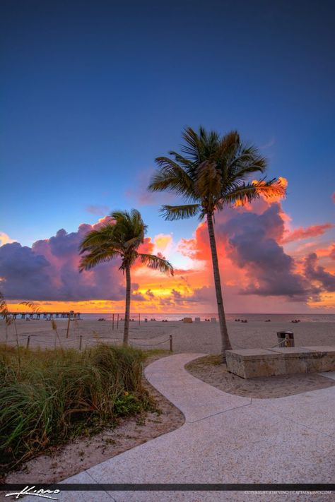 Florida Palm Beach, Clearwater Beach Florida Aesthetic, Pro Pictures, Florida Wallpaper, Sunrise At The Beach, Beach With Palm Trees, Florida Palm Trees, Tropical Scenery, Pompano Beach Florida