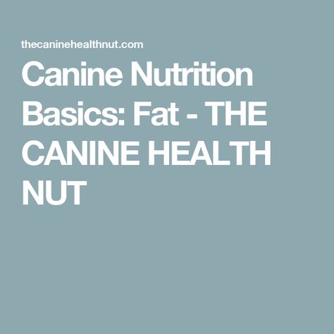 Canine Nutrition Basics: Fat - THE CANINE HEALTH NUT Canine Nutrition, Nutrition Basics, Bile Salts, Pet Nutrition, Nutritional Deficiencies, Health Nut, Animal Nutrition, Linoleic Acid, Dog Activities