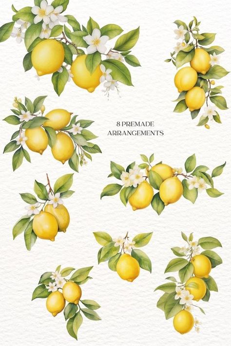 #CreativeClipart #ClipartCollection #DigitalArtElements #ClipartForDesigners #GraphicResources #ClipartSet #PrintableClipart #DigitalDownloadArt #ArtForCreators #DIYClipart Botanical Lemon Illustration, Lemon Design Art, Lemon Art Paintings, Lemon Aesthetic Art, Watercolour Lemon, Lemons Watercolor, Lemon Prints, Lemons And Flowers, Lemon Png