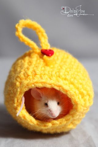 Hamster Clothes, Sugar Glider Pet, Hamster Accessories, Hamster Diy, Crochet Bed, Crochet Cat Bed, Hamster Bedding, Pet Hamster, Hamster Toys