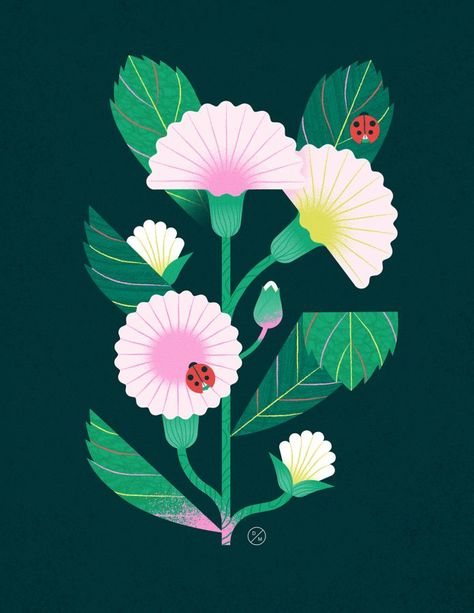 Spring Illustrations by Delphine Meier Flowers Everywhere, Spring Illustration, Floral Illustration, Flower Graphic, Plant Illustration, Plant Art, Flat Illustration, Flower Illustration, Floral Illustrations