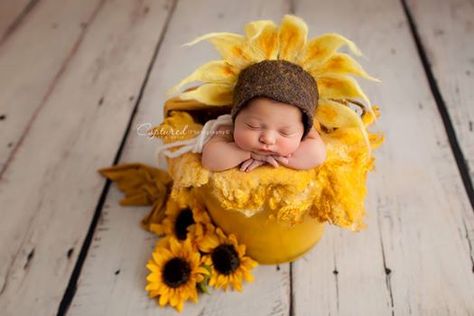 Yellow Newborn Session - Sunflower Newborn Session - Bold and Colorful Newborn Photography - Newborn Photographer - Baby Photography - Baby Photographer - Newborn Session - Newborn Art - Newborn Portraits. Captured by Claudia is a newborn photographer in the Laredo Texas area. Specializing in custom newborn photography as well as fine art Maternity, Baby and First Birthday. Dragonfly Photography, Newborn Art, Jennifer Taylor, Newborn Photo Shoot, Baby Shoot, Newborn Shoot, Newborn Portrait, Baby Portraits, Newborn Baby Photography