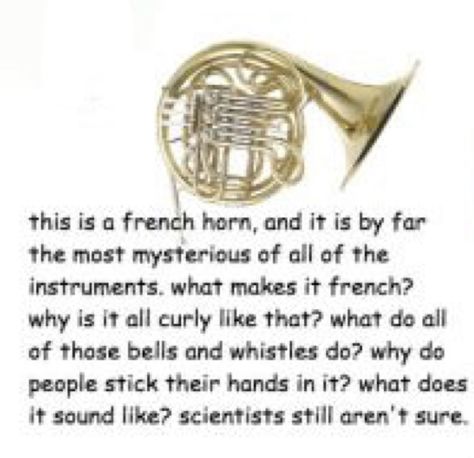 French Horn Humor, Musical Jokes, Band Problems, Musician Humor, Marching Band Humor, Band Jokes, Orchestra Music, Music Jokes, Silly Bands