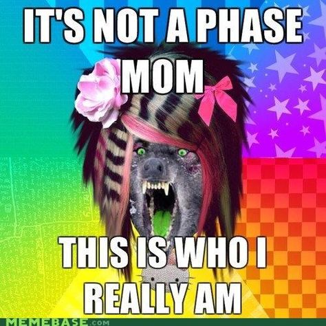 Scene Wolf... IT'S NOT A PHASE, MOM! THIS IS WHO I REALLY AM!! Wolf Meme, Friends List, Sweet Guys, Scene Kids, Flirting Memes, Flirting Humor, Know Your Meme, My Chemical Romance