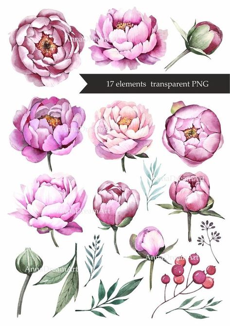 Peony Flower Tattoos, Peony Drawing, Peony Leaves, House Artwork, Flowers Peony, Peony Art, Flower Drawing Tutorials, Peony Painting, Floral Png