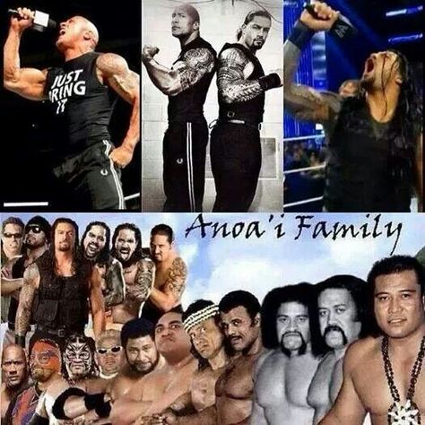 The Rock and hs Family Samoan Dynasty, Wwf Superstars, Roman Reigns Family, Joe Anoaʻi, Wwe Superstar Roman Reigns, Wrestling Stars, Wwe World, Wwe Roman Reigns, The Rock Dwayne Johnson