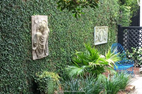 Wall covered in ivy with plants in front surrounding a small hidden patio Garden Room Aesthetic, Secret Garden Ideas, Magical Backyard, Secret Garden Door, Garden Aesthetics, Charleston Gardens, Relaxing Backyard, Backyard Dreams, Backyard Shade