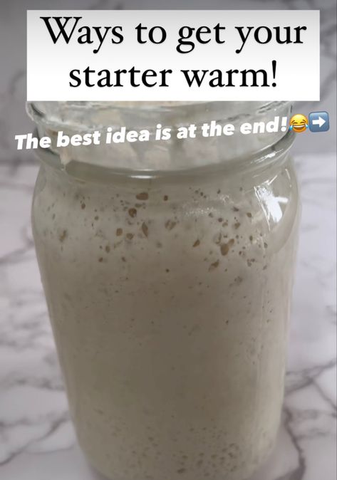 Sourdough Starter Warmer, Homemade Sourdough Bread, Sourdough Baking, Heating Element, Sourdough Recipes, Sourdough Starter, Dough Recipe, Week Meal Plan, Sourdough Bread