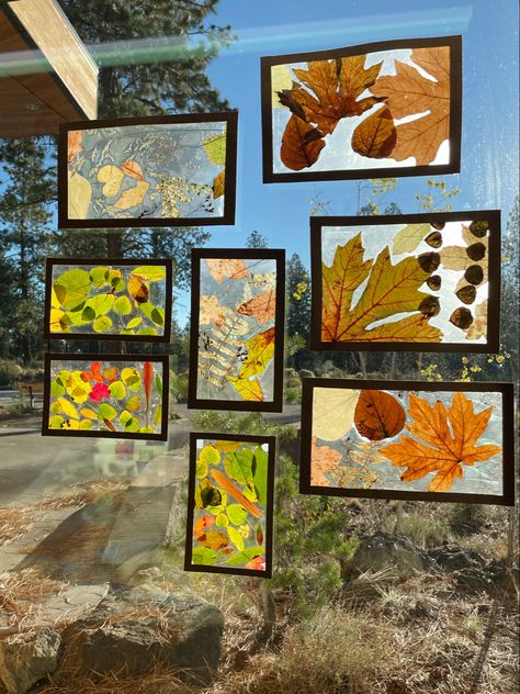 Fall Preschool Activities, Eyfs Activities, Carving Pumpkins, Fall Arts And Crafts, Tree Study, Fall Preschool, Fall Crafts For Kids, Autumn Crafts, Hairstyles For Kids