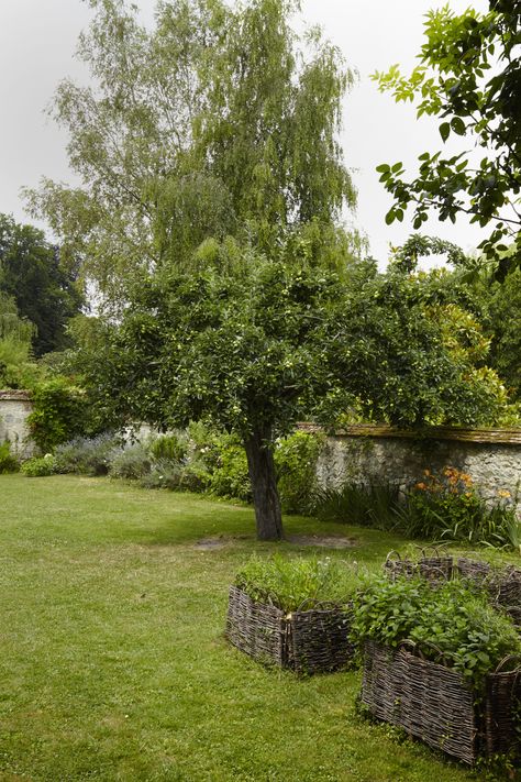 Herbs grow in beds with woven willow edging made by friends of Gesa’s parents. French Cottage Garden, Willow Fence, Country Cottage Garden, Hydrangea Arborescens, White Flower Farm, French Cottage, French Country Cottage, Public Garden, Garden Tours