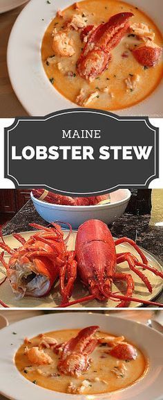 Lobster Stew, Lobster Stock, Fresh Lobster, Lobster Meat, Seafood Stew, Lobster Recipes, Seafood Soup, Maine Lobster, Crab Legs