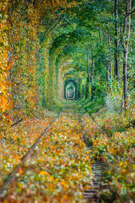 Tunnel Of Love Ukraine, Ukraine Nature, Love Tunnel, Ethereal Nature, Train Locomotive, Travelling Ideas, Travel Art Journal, Tunnel Of Love, Photo Love