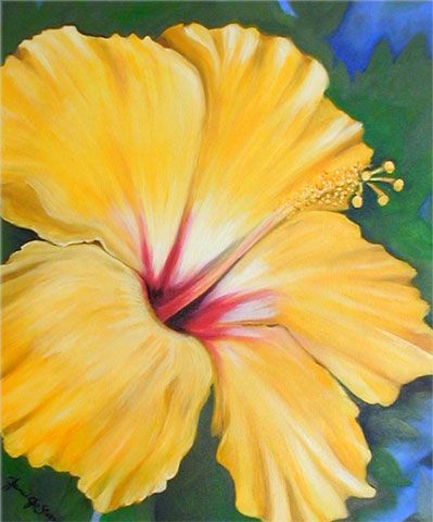 Oil Paintings Of Flowers | Flower Paintings by Key West Artist Janis Stevens Flower Paintings, Plant Drawing, Flower Art Painting, Arte Floral, Yellow Flower, Hibiscus Flowers, Key West, Painting Projects, Flower Drawing