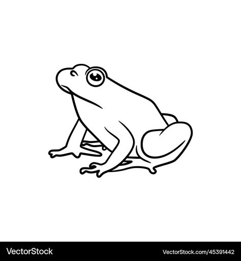 Frog Line Art, Draw Frog, Frog Outline, Frog Clipart, Black And White Line Art, White Line Art, Illustration Simple, Line Art Drawing, Drawing Vector