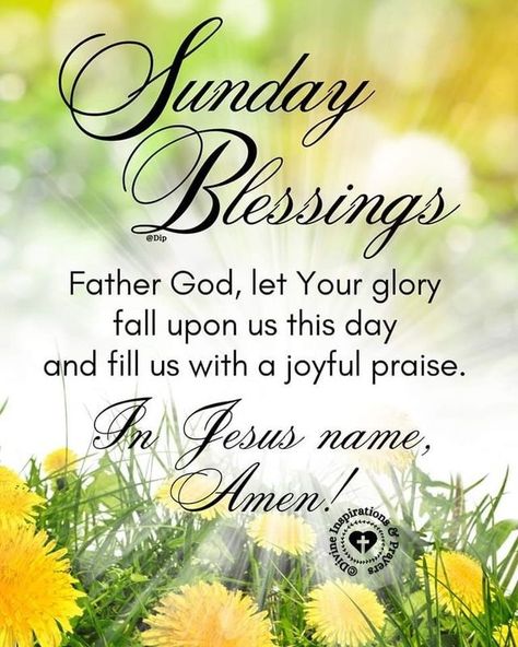 Sunday Morning Prayer, Blessed Sunday Morning, Blessed Sunday Quotes, Happy Sunday Images, Good Morning Sunday, Sunday Morning Quotes, Sunday Blessings, Happy Wednesday Quotes, Good Morning Happy Sunday