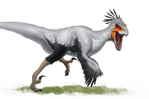 Raptor With Feathers, Feathered Raptor, Secretary Bird, Feathered Dinosaurs, Raptor Dinosaur, Tablet Pen, Dinosaur Sketch, Prehistoric Wildlife, Dinosaur Drawing