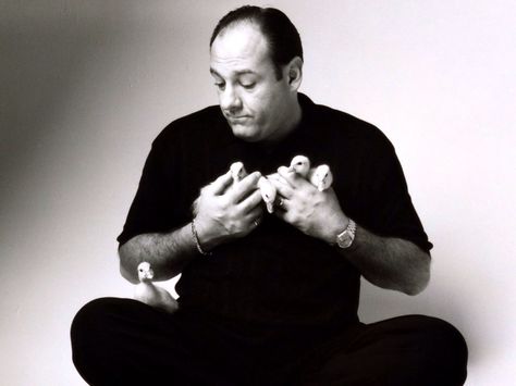 James Gandolfini & His Baby Ducks :) New Beverly Cinema, James Gandolfini, Tony Soprano, Baby Ducks, Best Tv Shows, Rest In Peace, Best Tv, Ducks, Famous People