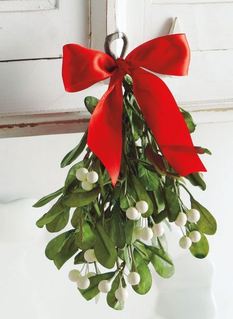 Hanging Mistletoe, Valentine Door Decorations, Christmas Plants, Under The Mistletoe, Christmas Flowers, Christmas Aesthetic, Green Christmas, Christmas Tag, Christmas Joy