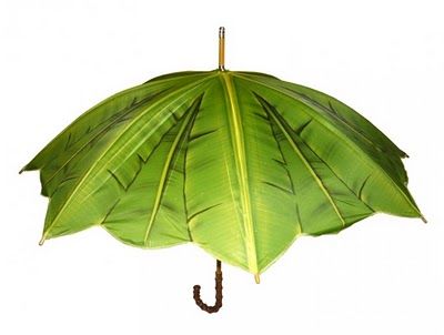 Banana leaf umbrella - I actually own this bumbershoot! Love it on a dreary day! Leaf Umbrella, Green Pics, Green Umbrella, Cool Umbrellas, Stylish Umbrella, Colorful Umbrellas, Shade Umbrellas, Umbrella Art, Umbrella Designs