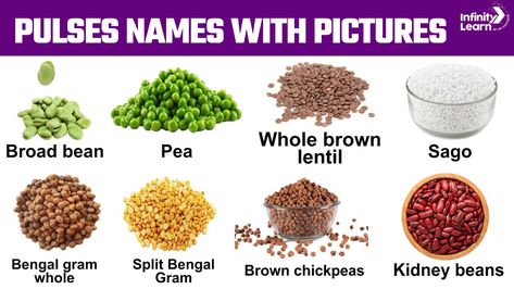 Kabuli Chana, Black Chickpeas, White Kidney Beans, Fruit Names, Pigeon Peas, Adzuki Beans, Edible Seeds, Broad Bean, Lima Beans