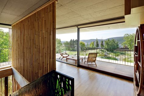 Gallery - Bamboo House / Atelier Stepan - 5 Vienna Architecture, Architecture Study, Bamboo Trellis, Bamboo Architecture, Light Hardwood Floors, Study Trip, Siargao, Bamboo House, Bamboo Wall