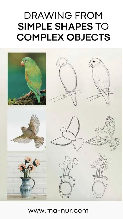 Drawing From Simple Shapes To Complex Objects - Art & Architecture FREE Resources Simple Shapes Drawing, Shapes Drawing, Geometric Shapes Drawing, Basic Sketching, Colored Pencil Art Projects, Complex Art, Shading Drawing, Pencil Drawings For Beginners, Pencil Drawings Of Animals