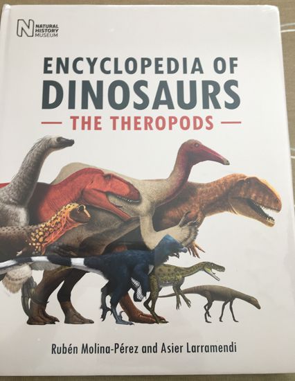 The Encyclopedia of Dinosaurs - The Theropods | Everything Dinosaur Dinosaur Books For Kids, Book Of Job, Prehistoric World, Kids Imagination, The Good Dinosaur, Dinosaur Fossils, Prehistoric Animals, Science Books, Zoology