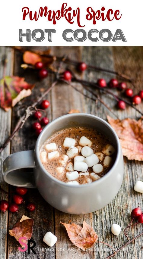 Warm Up With Pumpkin Spice Hot Cocoa Pumpkin Spice Hot Cocoa Mix Recipe, Pumpkin Spice Hot Cocoa, Cocoa Mix Recipe, Winter Drink Recipes, Hot Cocoa Mix Recipe, Hot Cocoa Mix, Hot Cocoa Recipe, Cold Autumn, Hot Cocoa Mixes