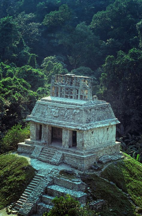 Temple of the Sun, from Temple of the Cross, Ruins at Palenque. Chiapas, Mexico. Mayan Art, Mayan Ruins, Ancient Temples, Sacred Places, Ancient Architecture, Ancient Ruins, Place Of Worship, Cozumel, Chichen Itza