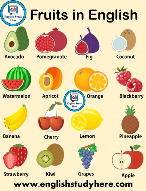 Names of Fruits in English - Fruits Names For Kids - English Study Here Names Of Fruits, Fruit In English, Food In English For Kids, Fruits Names In English And Hindi, All Fruits Name In English, Fruits Name With Picture, Fruits Name In English, Fruit Names, Teach English To Kids