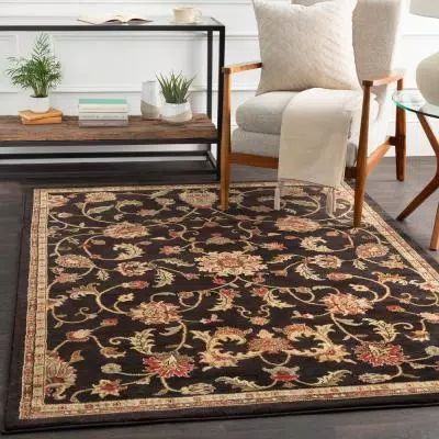 Sabin Black 4 ft. x 5 ft. Indoor Area Rug Tan Rug, Updated Traditional, Ornate Design, Bedroom Area Rug, Bohemian Area Rugs, Floral Area Rugs, Black Area Rugs, Black Rug, Brown Area Rugs