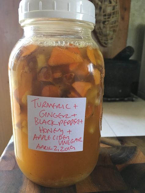 Ginger Oxymel, Forest Apothecary, Herbalist Recipes, Herbalism Apothecary, Herbal Wellness, Herbal First Aid, Diy Body Products, Wellness Practices, Tonic Recipe