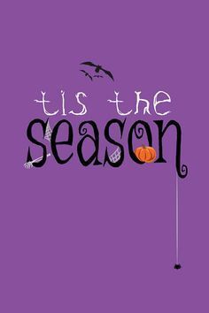 Tis The Season halloween halloween pictures halloween images halloween quotes halloween pics Halloween 1978, Halloween Queen, Halloween Quotes, Halloween 2017, Halloween Backgrounds, Halloween Pictures, Halloween Signs, Fall Wallpaper, Samhain