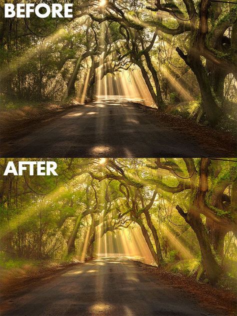 Using Layer Mask to make multiple layers to bring out highlights and darks (like HDR but from one photo) Lightroom Tips, Photography Forest, Photoshop Techniques, Amazing Landscapes, Hdr Photos, Fotografi Digital, Landscape Photography Tips, Photography Photoshop, Affinity Photo