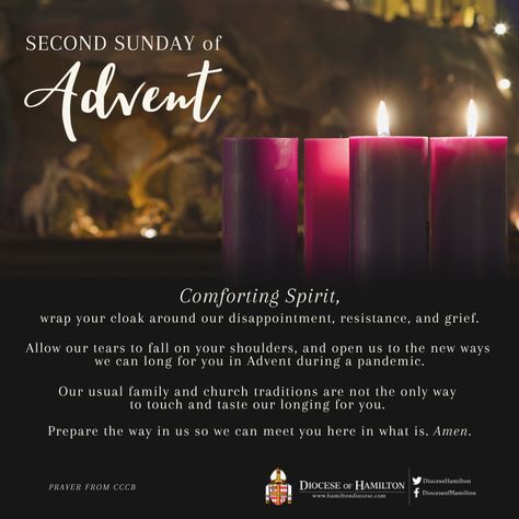 3rd Advent Sunday, Advent Prayers Catholic, 3rd Sunday Of Advent, Advent Catholic, Third Sunday Of Advent, Advent 2023, Advent Scripture, Prayers Catholic, Advent Prayers