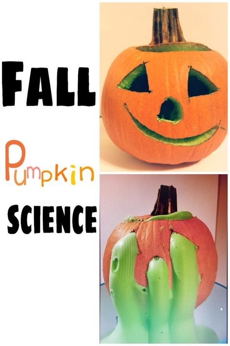 Get kids excited about science with this "exploding" pumpkin.  We used a carved Jack o' lantern and watched as the foam oozed out.  This is a favourite every year! Pumpkin Science Experiment, Fall Classroom Activities, Pumpkin Science, Fall Science, Thanksgiving Classroom, Experiments Kids, Science Stem, Science Experiments For Preschoolers, Pumpkin Activities