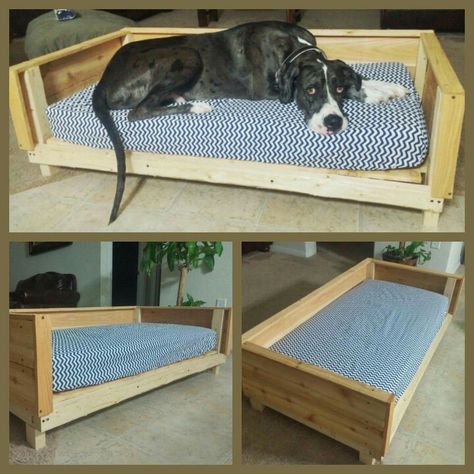 Great Dane Bed Diy, Great Dane Bed Ideas, Great Dane Dog Bed, Dog Day Bed, Daisy Treats, Great Dane Bed, Easy Dog Bed, Dog Beds Homemade, Wood Dog Bed