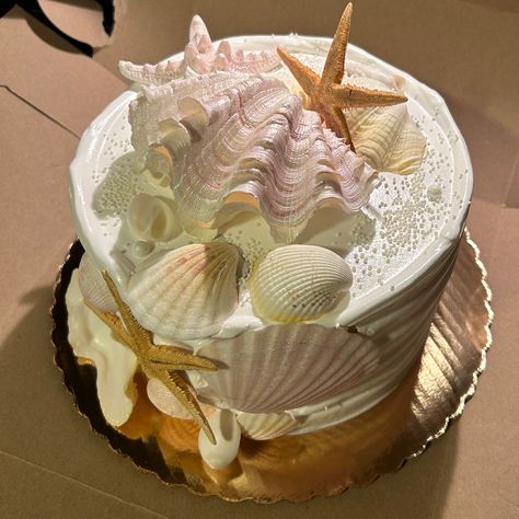 Madi Core, Twenty Fine, Seashell Cake, Ocean Cakes, Vintage Birthday Cakes, Pretty Cake, Beach Cakes, Pretty Dessert, Creative Birthday Cakes